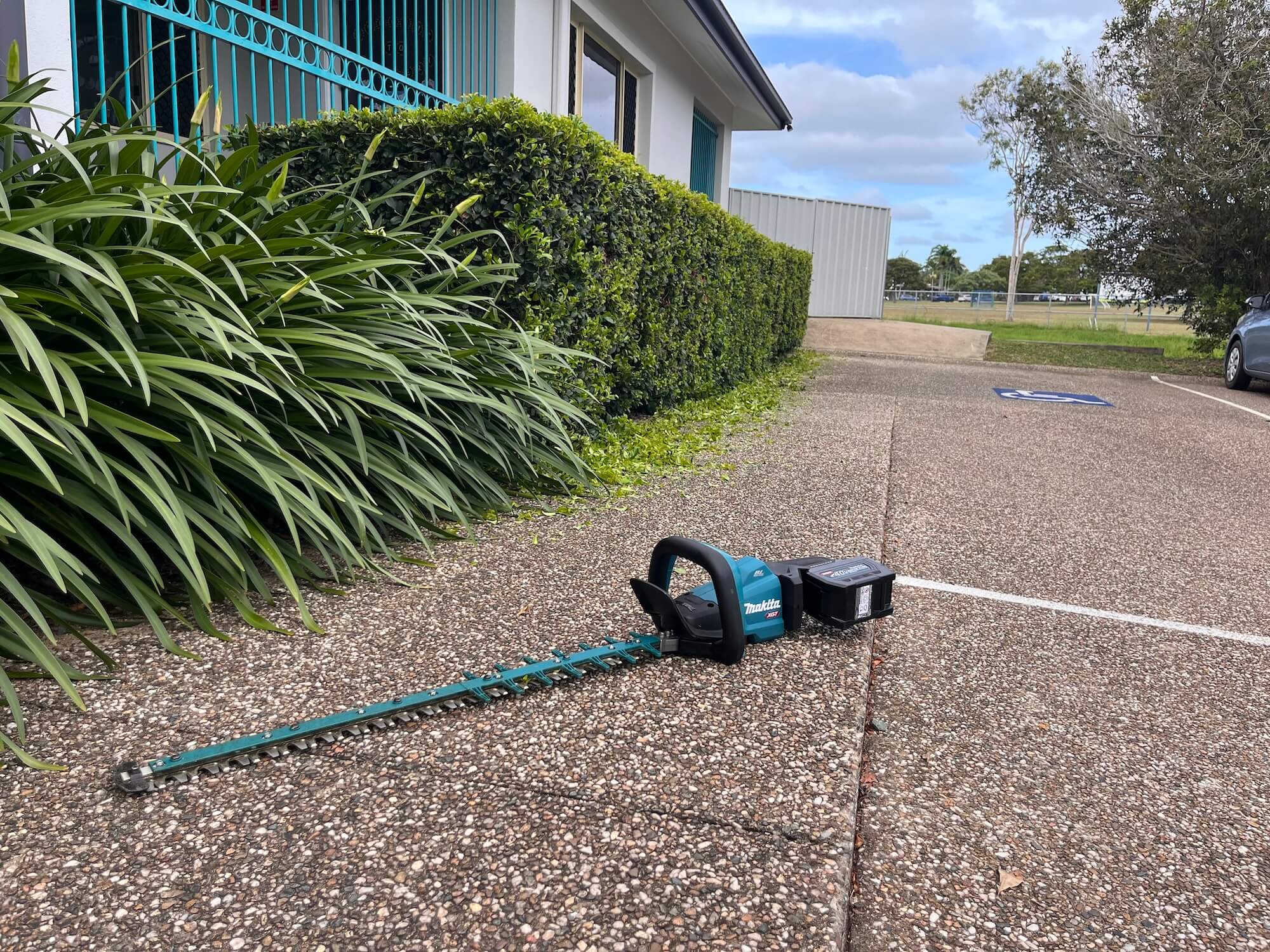 better yards maintenance